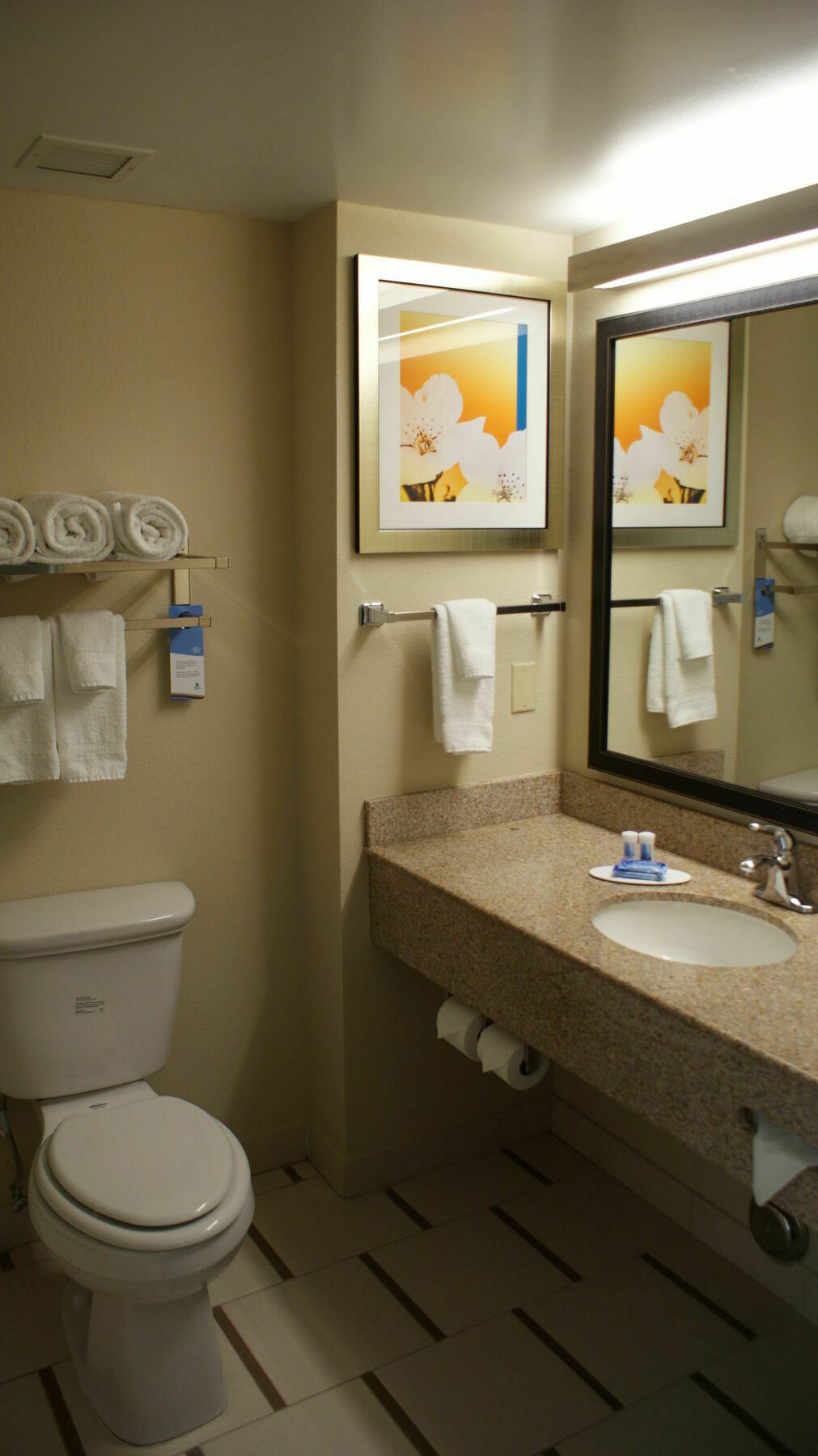 Fairfield Inn & Suites By Marriott Chesapeake Suffolk Luaran gambar